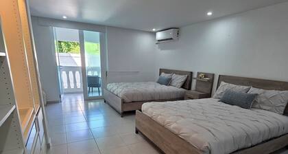 Cozy 1-bedroom apartment in Isabela 2 Queen Beds