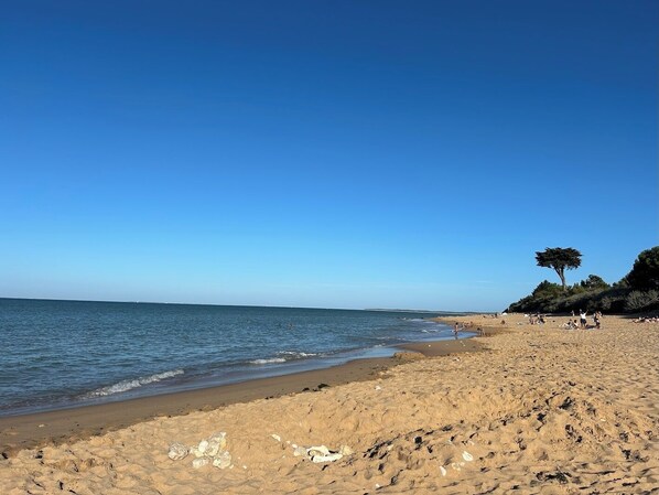 Beach nearby - Superb beachfront home! Super large flowery garden direct to the beach (La Brée-les-Bains)
