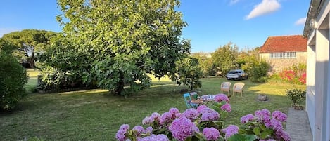 Terrain de lâhĂ©bergement