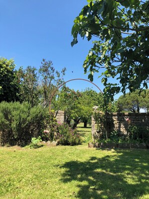 A garden with a stone wall, various plants, and a clear blue sky. - Superb beachfront home! Super large flowery garden direct to the beach (La Brée-les-Bains)