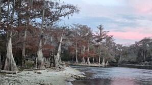 A natural landscape with a river, trees, and a wooden bridge.