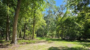 A forested area with a dirt path leading through it.