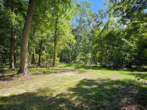 Miscellaneous - Beautiful, wooded campsite in Branford, FL perfect for outdoor adventures (Branford)