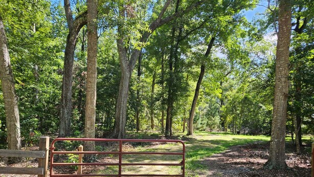 A gated entrance to a wooded area with a metal gate and a wooden fence.