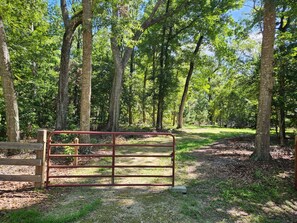 A gated entrance to a wooded area with a metal gate and a wooden fence.