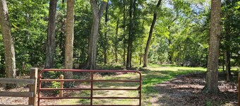 Beautiful, wooded campsite in Branford, FL perfect for outdoor adventures