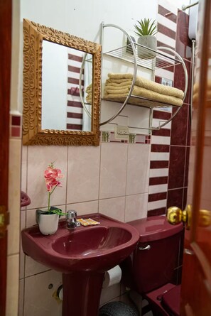 Bruser, hårtørrer, Sæbe