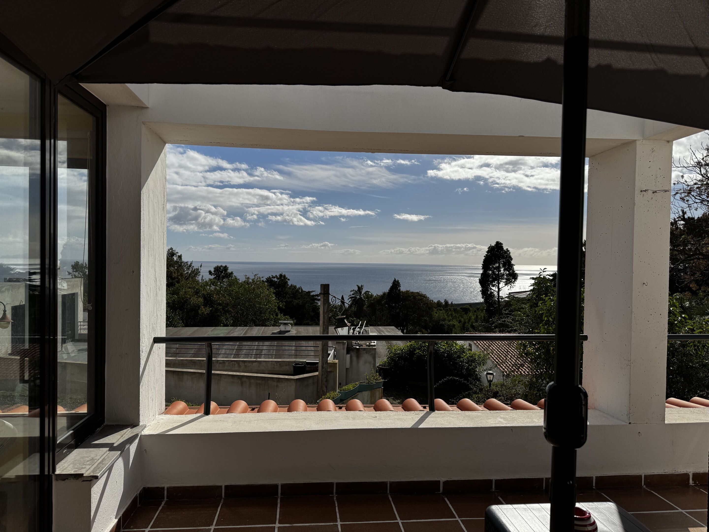 Machico View | Terrace/patio