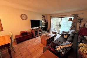 Living area - Beech Side Hideaway (Beech Mountain)