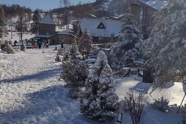 Property grounds - Beech Side Hideaway (Beech Mountain)