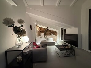 TV, fireplace - Quiet and luxurious duplex in the center of Milan in a typical Navigli courtyard (Milano)