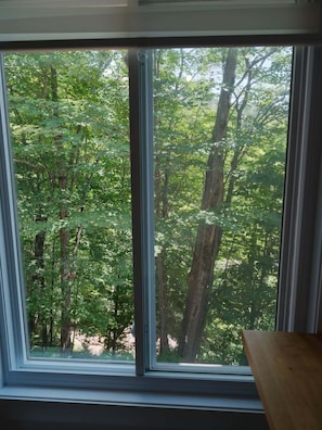 Interior - Superb views and literally 2 min walk to resort ! (Mont-Tremblant)