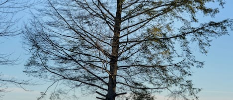 Àrea exterior de l'allotjament