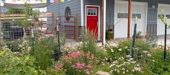 Heron House - spacious one bedroom guest apartment in Salmon.