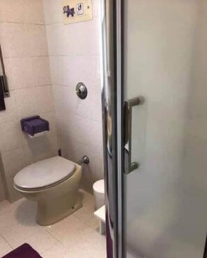 Hair dryer, towels, soap, toilet paper - Two-room apartment near Venice and Treviso (Mogliano Veneto)