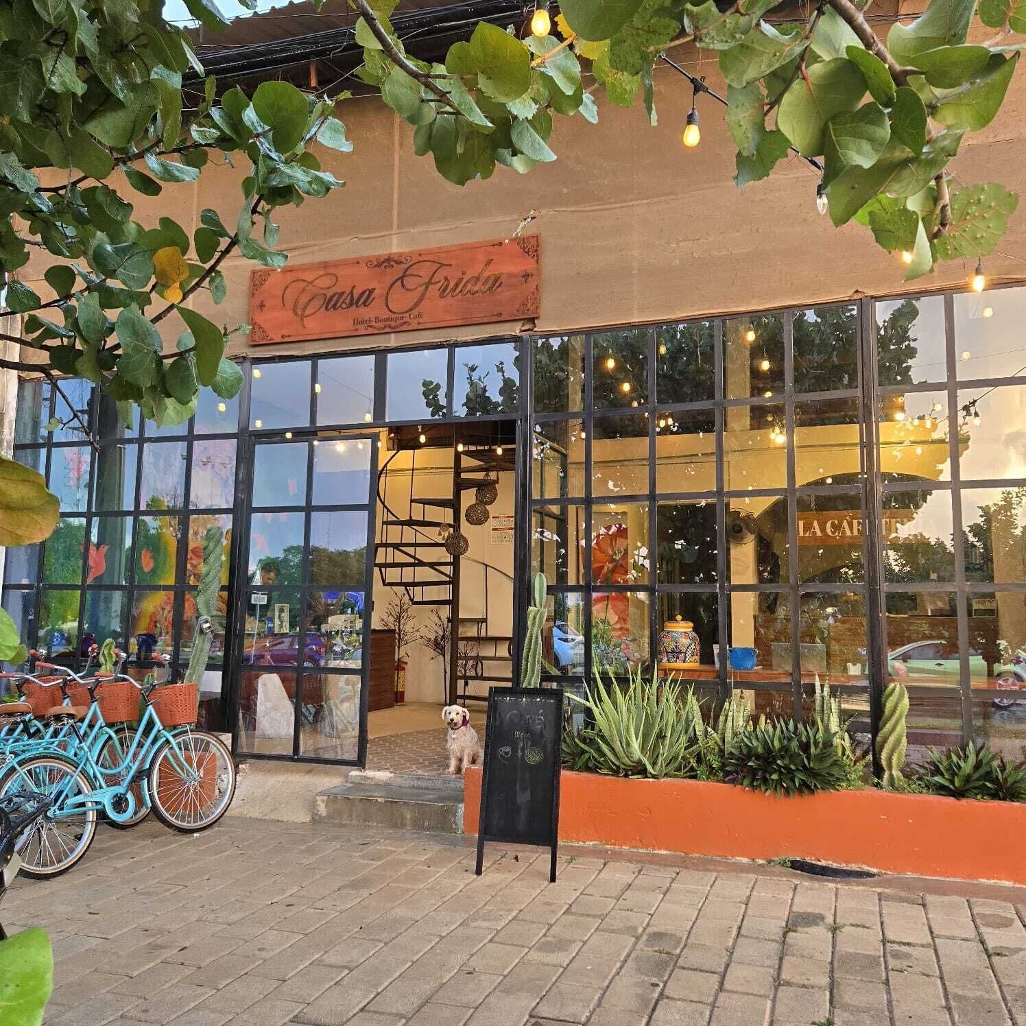 Vista frontal de la propiedad