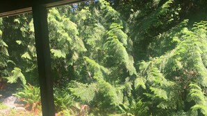 Un espace extérieur abrité, avec des marches en pierre menant à un jardin.