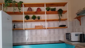 Une cuisine avec des meubles de couleur turquoise, un réfrigérateur blanc, un four à micro-ondes et une cuisinière. On y trouve des étagères en bois ornées de plantes, ainsi qu’une plante suspendue.