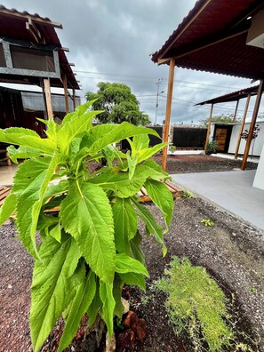 Exterior detail - Imagination Studio Home (Puerto Ayora)