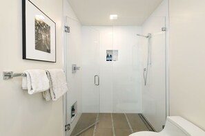 Shower, hair dryer, towels, soap - Lovely, 2-bedroom house in charming Corte Madera. Great Location! (Corte Madera)