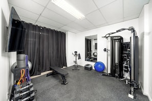 A gym with a bench, weights, a squat rack, and exercise balls. - NEW! Luxury Family & Group Retreat | Hot Tub, Gym + Mountain Views | Sleeps 14 (Telluride)