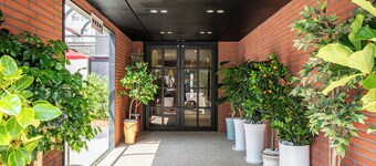 Brown Dot Hot Spring Yu-Seong