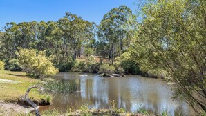 A river surrounded by trees and vegetation. - Glamping @ Undercliff Farm (Undercliffe)