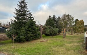 Terrain de l’hébergement 