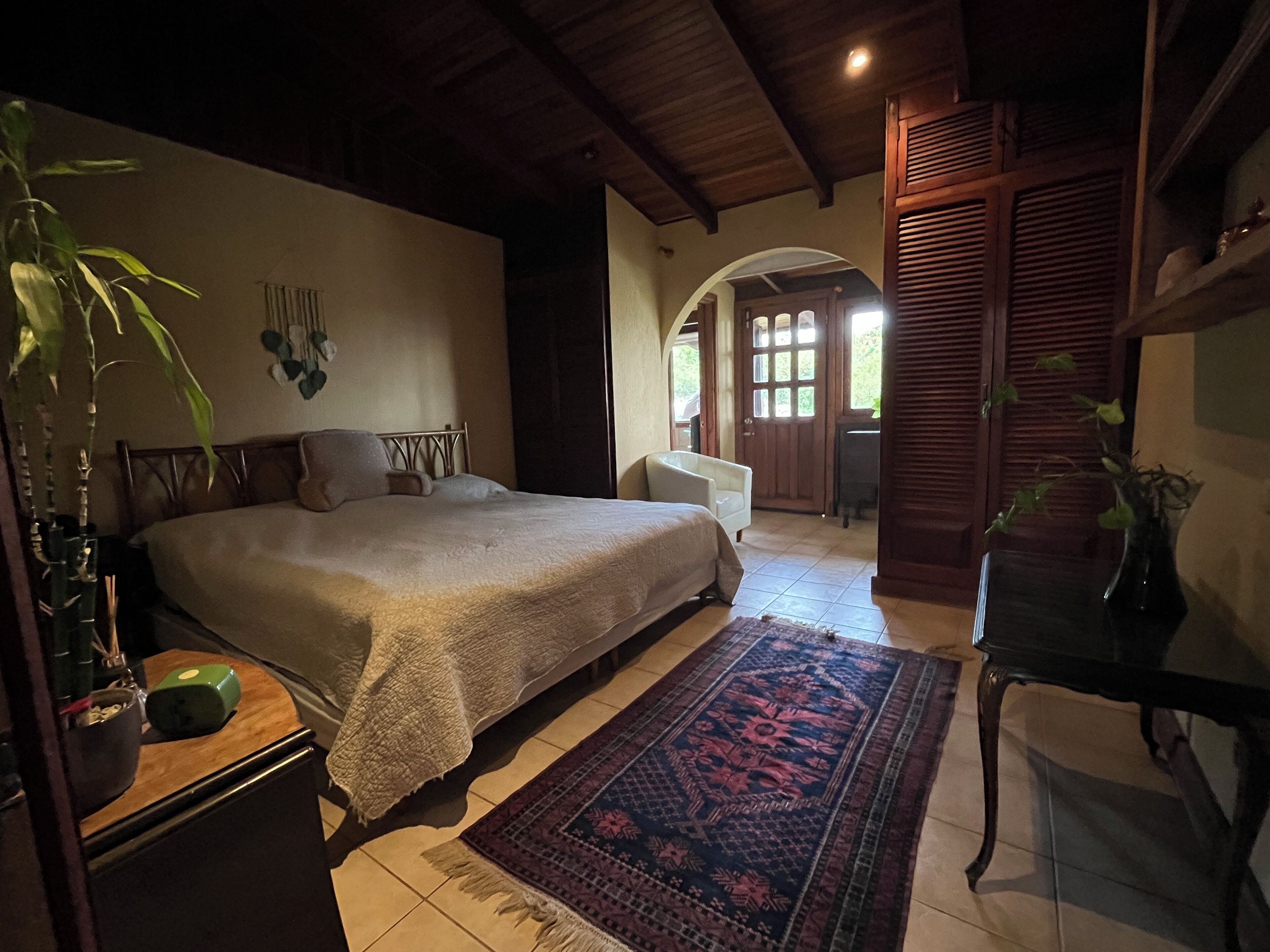 A bedroom with a bed, a nightstand, a desk, a chair, a potted plant, and a door leading to another room.