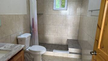 Un bagno con il water, doccia e una piccola finestra.