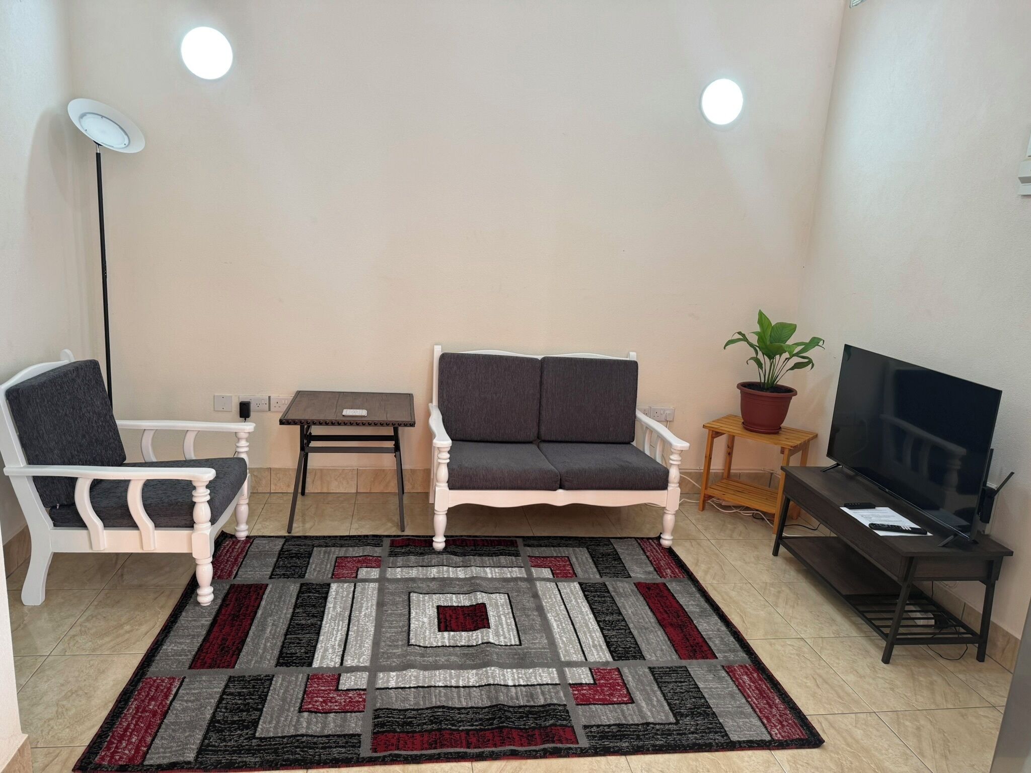 Una sala de estar con sofá, una silla, una mesita, televisor y una planta en maceta.