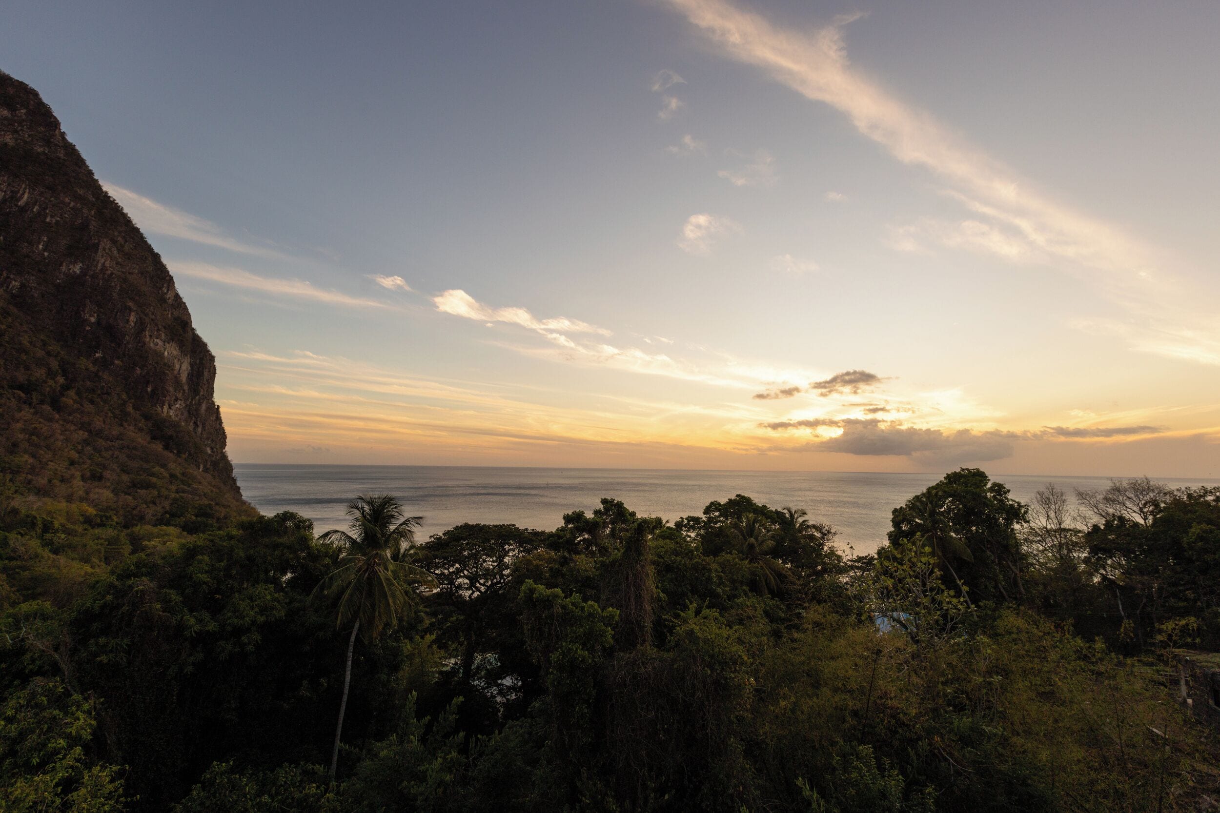 A coastal landscape with dense vegetation, a cliff, and a view of the sea.