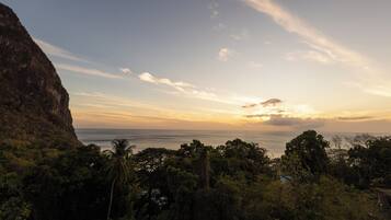 A coastal landscape with dense vegetation, a cliff, and a view of the sea.