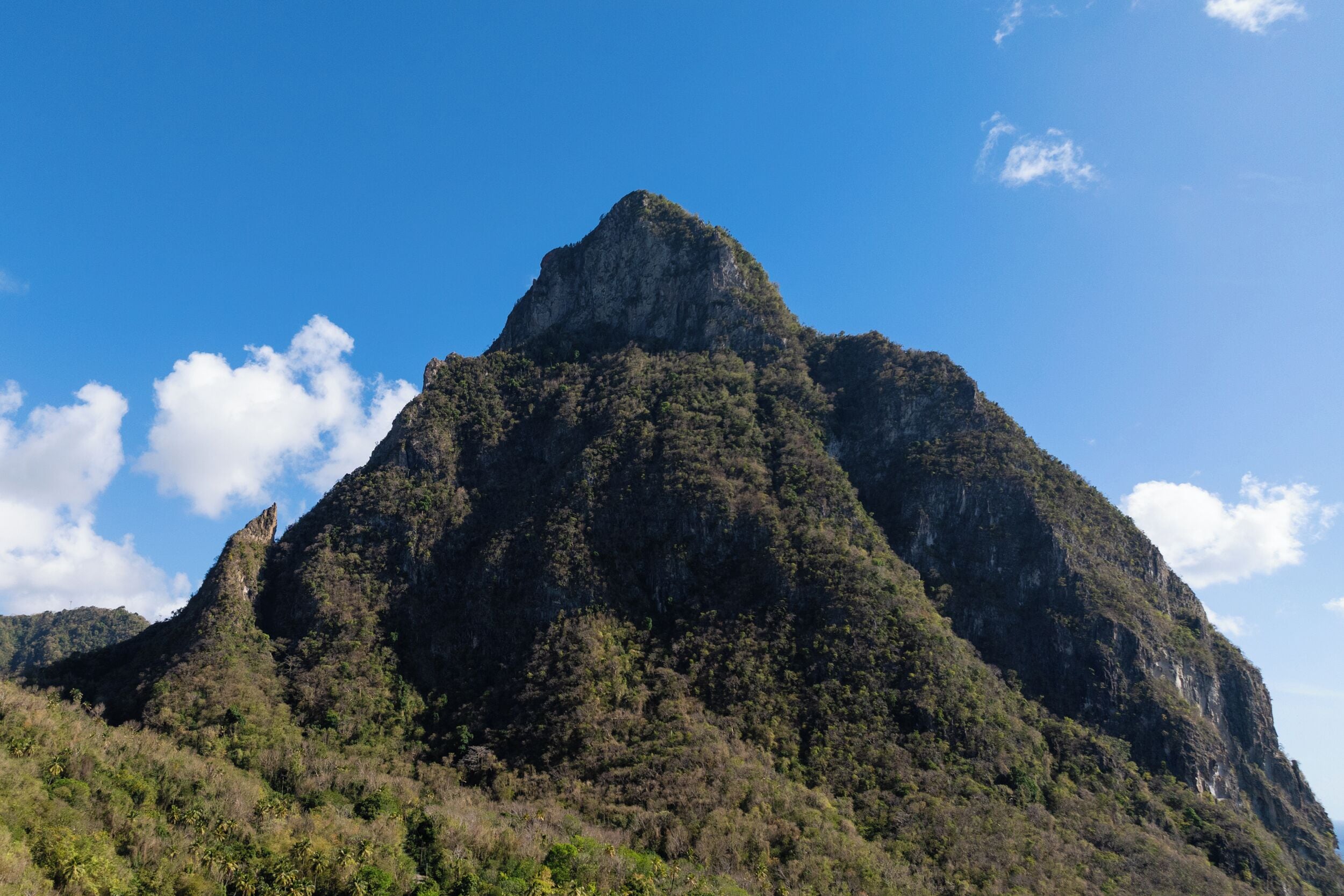 Une montagne couverte d’une végétation luxuriante, sous un ciel dégagé.