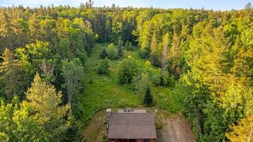 A cabin surrounded by dense forest, with a dirt path leading to the entrance.