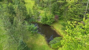 A natural landscape with a pond surrounded by dense greenery and trees.