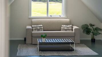 TV, fireplace, stereo, offices