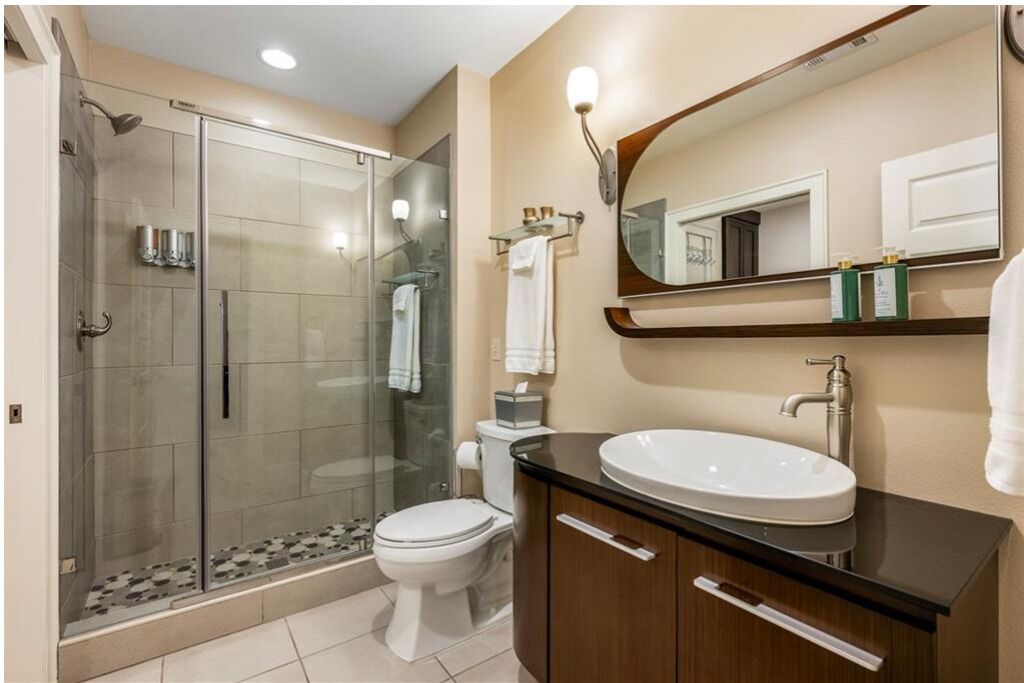 Hair dryer, towels, soap, shampoo