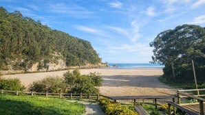 A beach with a wooden walkway leading to the shore, surrounded by greenery and a clear sky. - La Franca beach, garden and WiFi - Casa Freya (Franca, La)