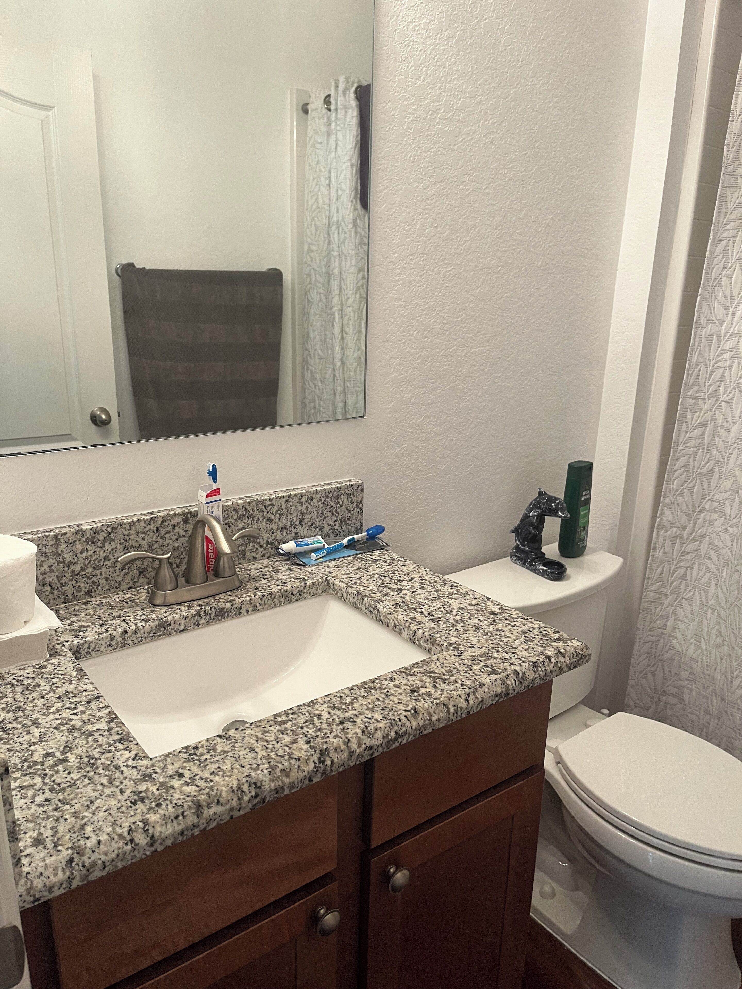 Hair dryer, towels, soap, toilet paper