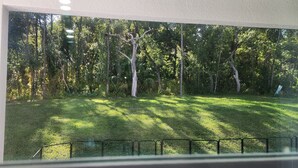 A view through a window of a grassy yard with trees and a metal fence. - Beautiful New Home in Citrus Springs, sleep 6 (Citrus Springs)