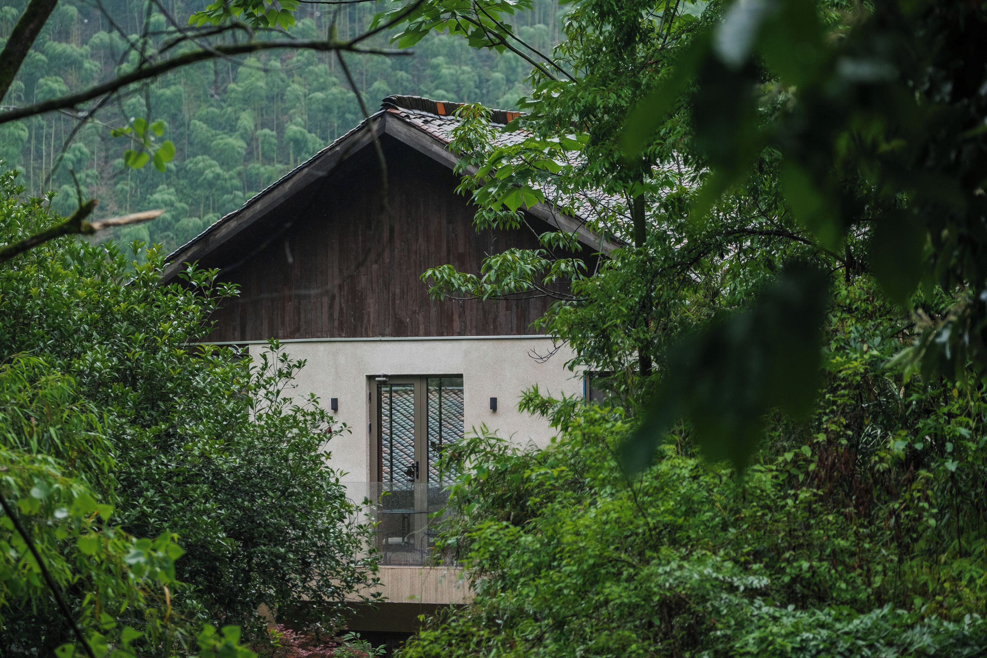 Senior Suite, Courtyard View | View from room