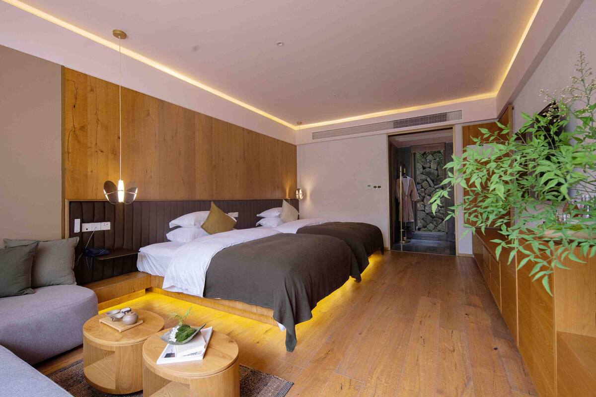 Una habitación de hotel moderna con una pared de acento de madera, una cama grande con dos almohadas, un sofá, una pequeña mesa de madera con una planta y una maceta con planta junto a la ventana.