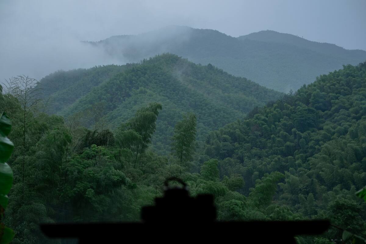 Vista de una exuberante y verde cadena montañosa con la silueta de un vehículo en primer plano.