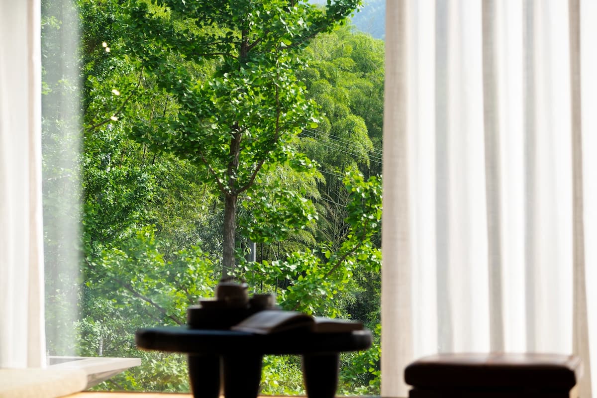 Doppia City, vista montagna | Vista dalla camera