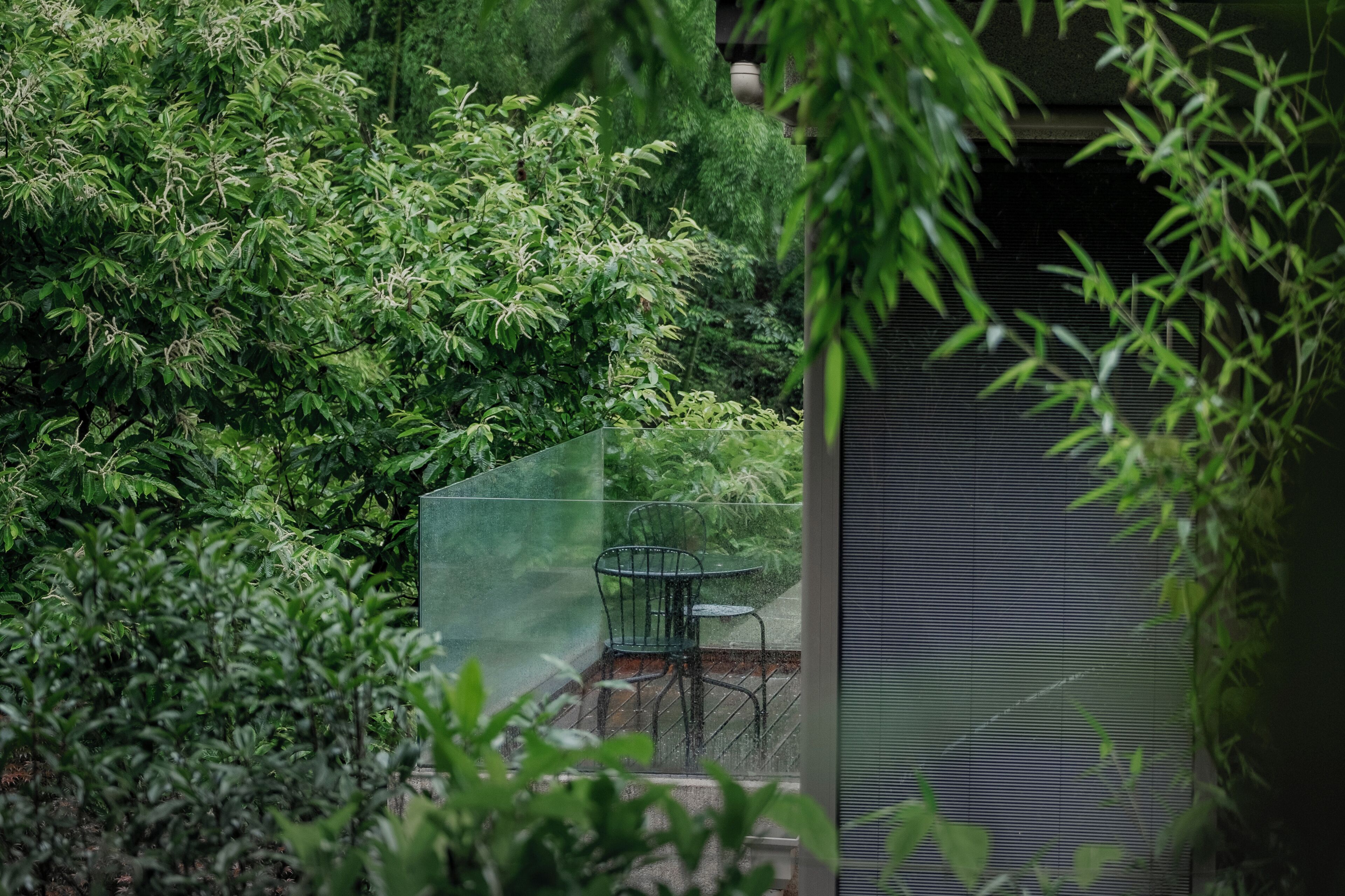 Suite Senior, vista cortile | Terrazza/patio