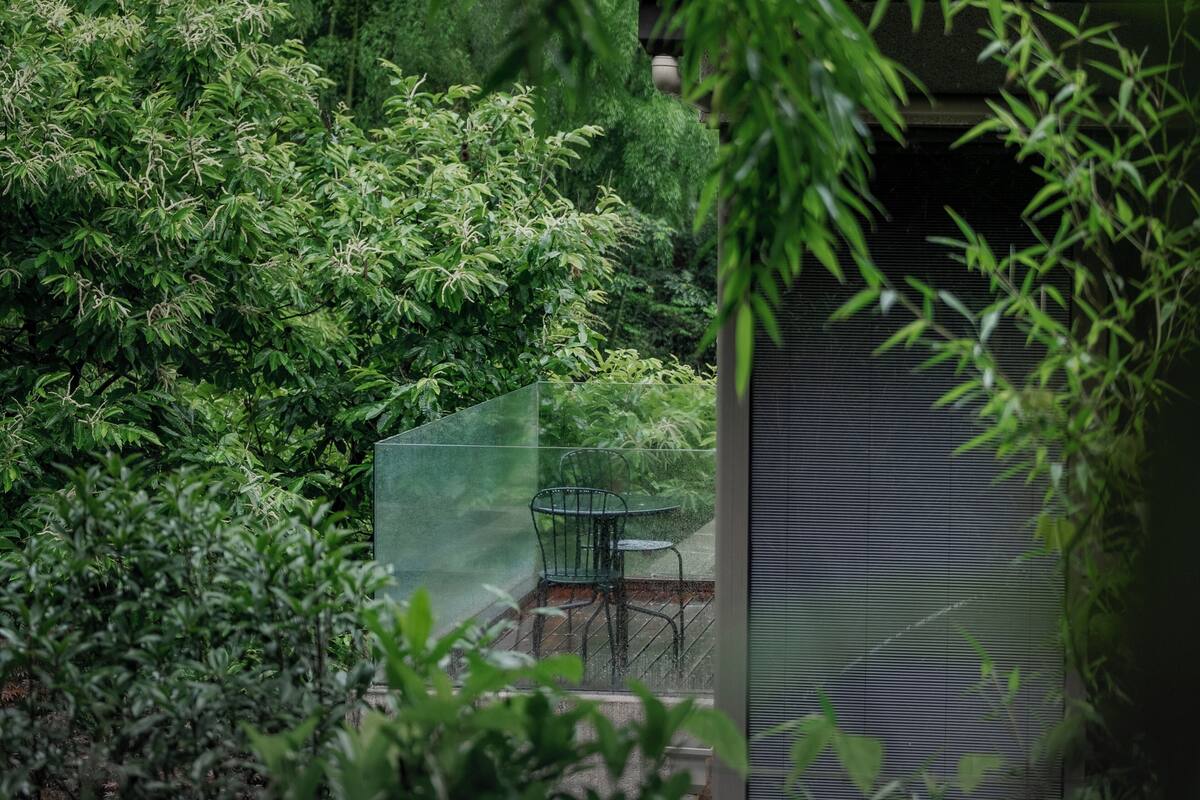 Un espacio al aire libre con paredes de vidrio, que incluye una mesa y sillas, rodeado de abundante vegetación.