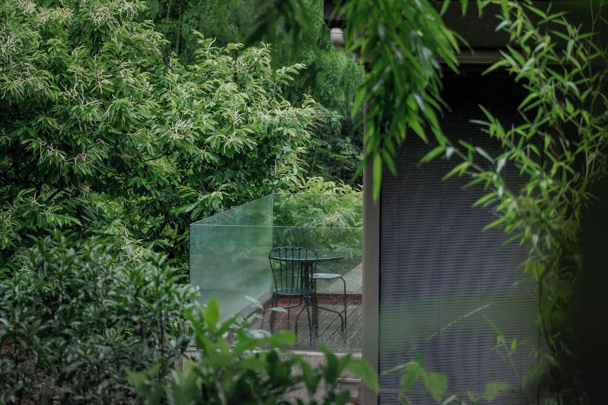 Suite Senior, vista cortile | Terrazza/patio