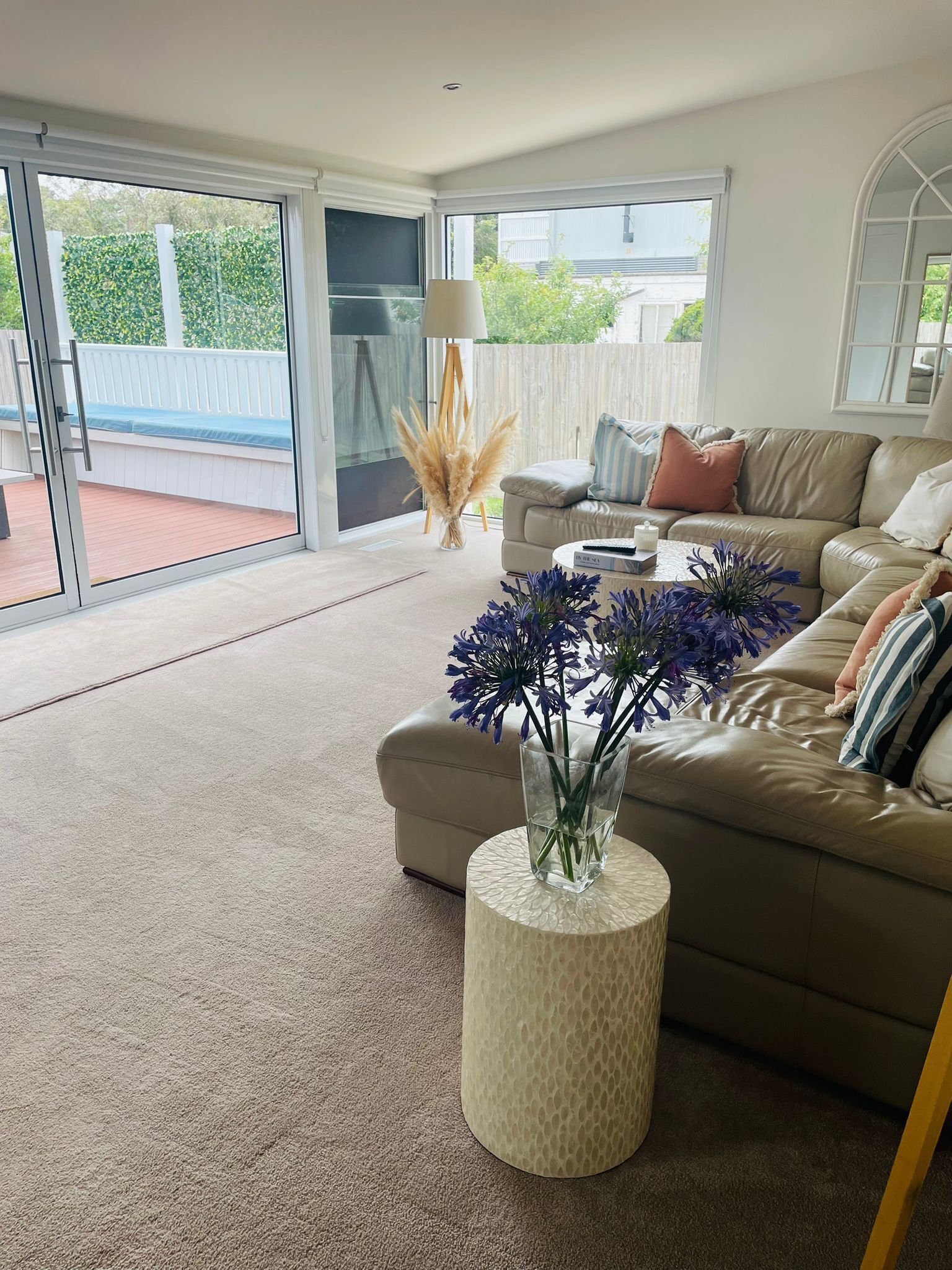 智能電視、壁爐、書籍