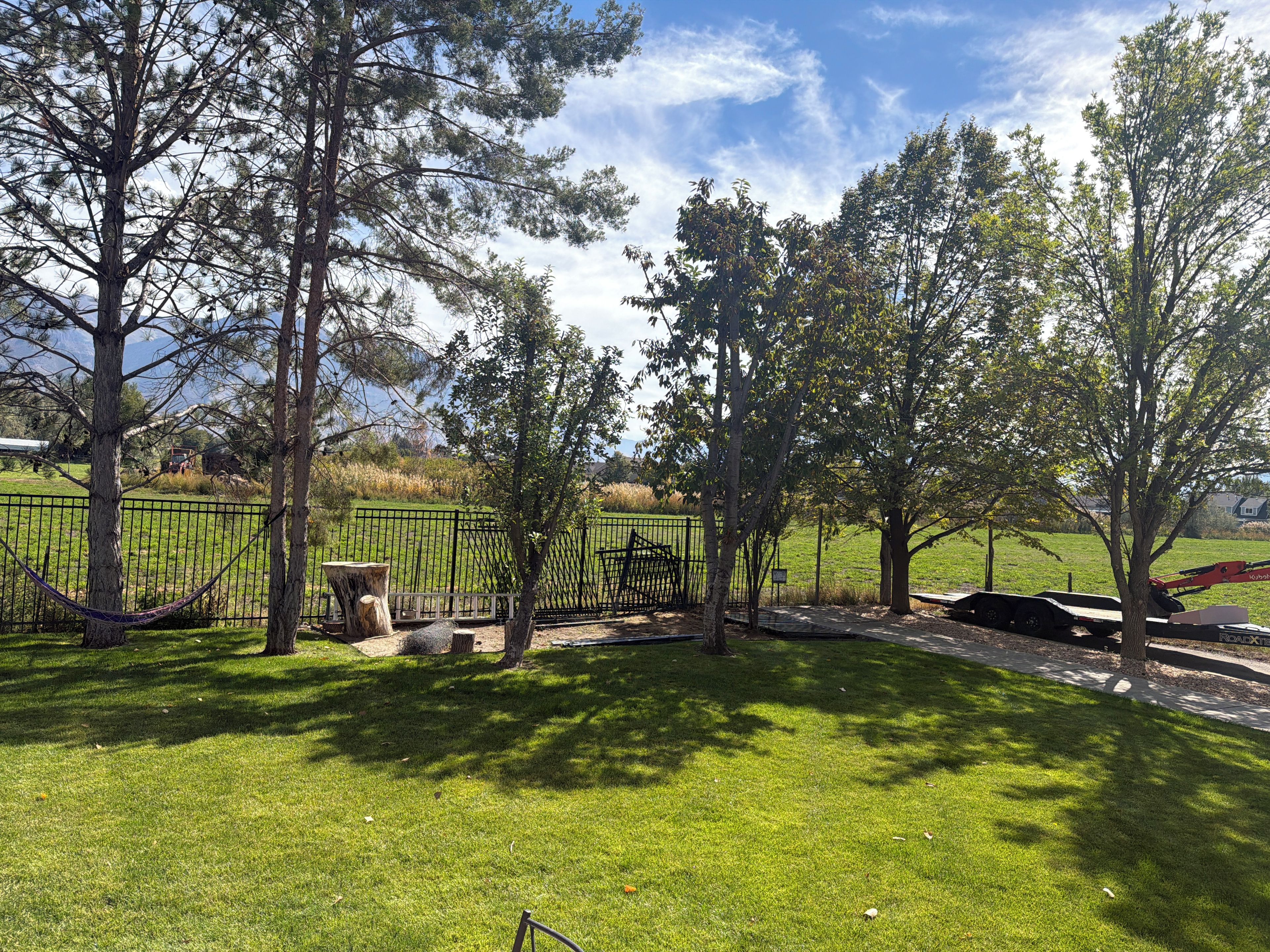 A grassy outdoor area with trees, a metal fence, and a paved path.